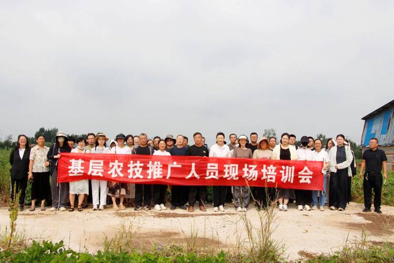 农业种植技术